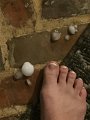 3209_HailStorm_3-2016 (12)
